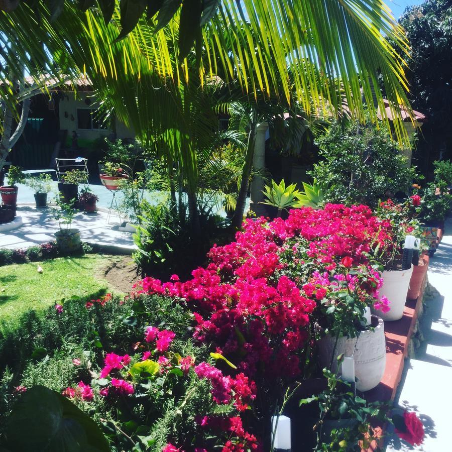 Casa De La Abuela Bed and Breakfast Ajijic Eksteriør billede